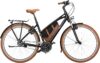 eT21 05251 01 de Riese & Müller Cruiser Mixte urban 2021