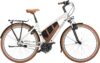 eT21 05251 02 de Riese & Müller Cruiser Mixte urban 2021