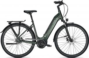 Raleigh Bristol 8 2021