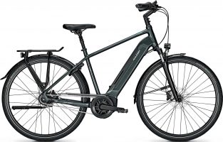 Raleigh Bristol 8 RT 2021