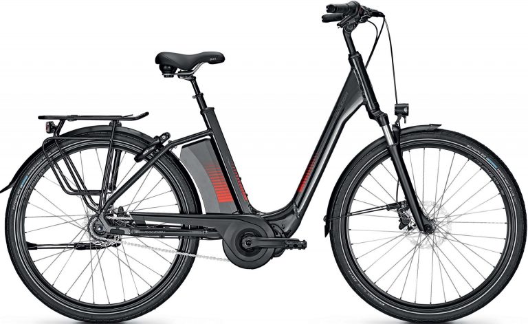 Raleigh Corby 8 XXL RT 2021