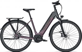 Raleigh Kent Premium 2021