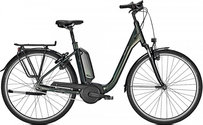 Raleigh Kingston 7 Plus 2021