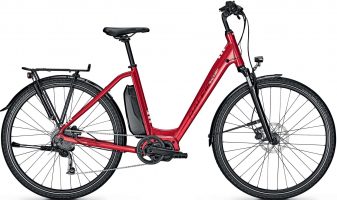 Raleigh Stone 9 2021