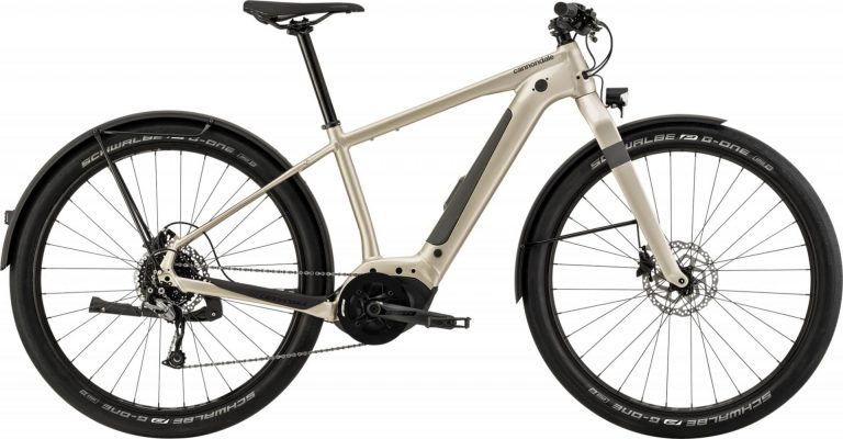 Cannondale Canvas NEO 2 2021