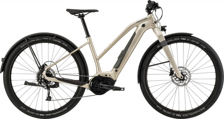 Cannondale Canvas NEO 2 Remixte 2021