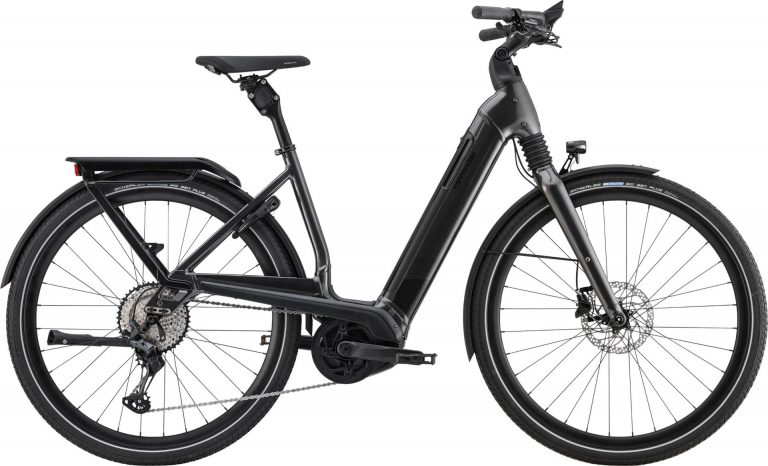 Cannondale Mavaro NEO 2 2021