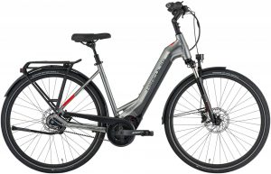 Hercules Pasero Comp I-F5 2021 Trekking e-Bike