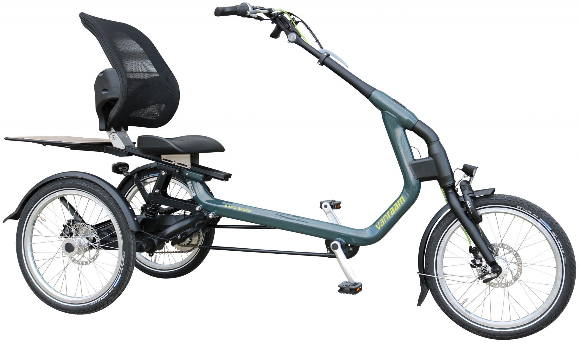 Van Raam Easy Rider 3 2021 Emotion Technologies