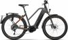 eT21 03531 02 de Haibike Trekking S 10 2021