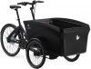 eT21 07519 01 de Triobike boxter e enviolo 2021