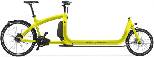 Triobike cargo big enviolo 2021