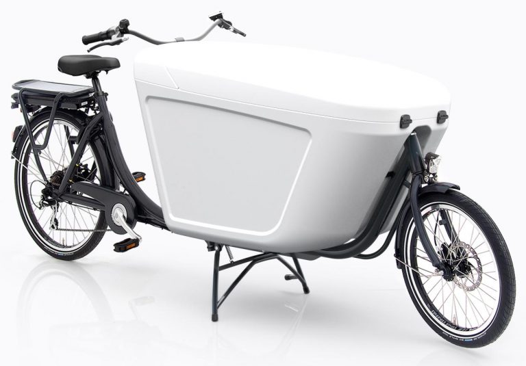 Babboe Pro Bike-E 2021