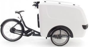 Babboe Pro Trike XL 2021 Lasten e-Bike