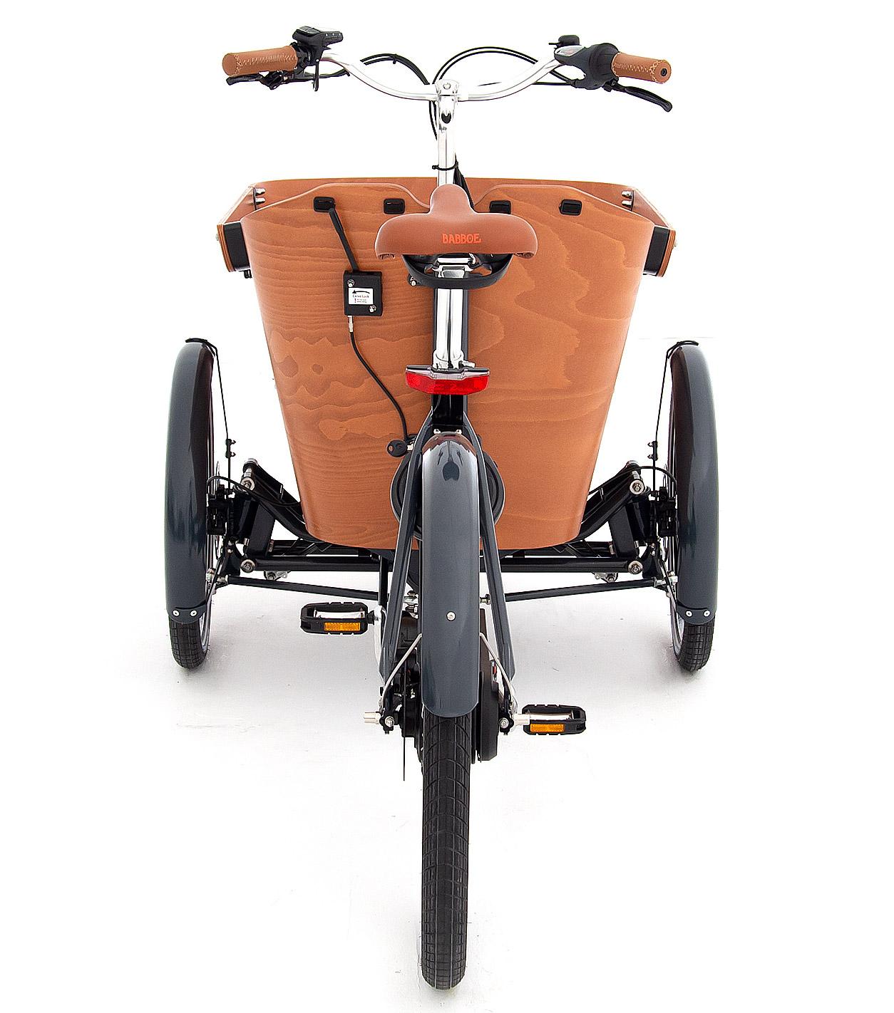 Babboe Carve Mountain 2021 e motion experts GmbH