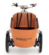 eT21 01253 01 de Babboe Carve-E 2021