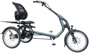 Van Raam Easy Rider 3 2021 Dreirad für Erwachsene