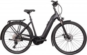 Hercules Futura Comp I-11 2022 Trekking e-Bike