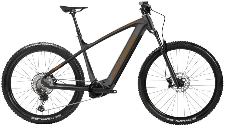 Corratec E-Power X Vert Pro Gent 2022