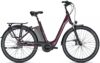 eT22 001306 02 de Raleigh Corby 8 XXL 2022