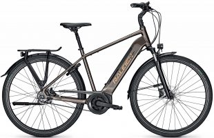 Raleigh Bristol Premium RT 2022