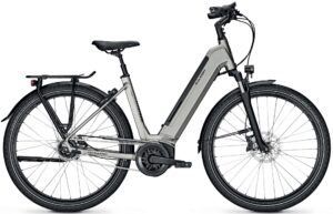 Raleigh Bristol XXL 2022 e-Bike XXL,City e-Bike