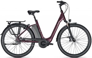 Raleigh Corby 8 XXL RT 2022 e-Bike XXL,City e-Bike