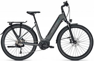 Raleigh Kent 10 XXL 2022