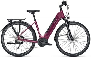 Raleigh Kent 9 2022 Trekking e-Bike