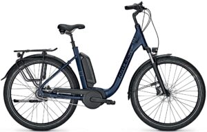 Raleigh Kingston 8 XXL 2022 e-Bike XXL,City e-Bike