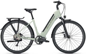 Raleigh Preston 11 2022 Trekking e-Bike