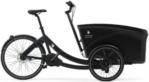Triobike boxter e Nexus 2022 Lasten e-Bike