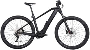 Bulls Sonic EVO 1 2022 e-Mountainbike