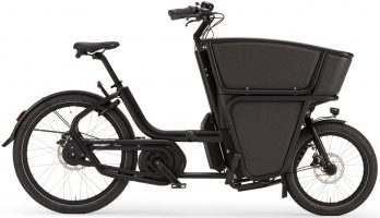 Urban Arrow Shorty Performance 2022