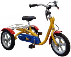 Van Raam Husky 2022