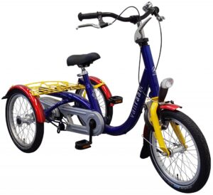 Van Raam Mini 2022 Dreirad für Erwachsene