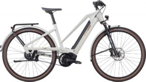 IBEX eAvantgarde Neo GOR enviolo 2022 Urban e-Bike