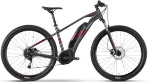 R Raymon HardRay E 3.0 2022 e-Mountainbike