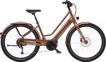 Electra Vale Go! 9D EQ 2021