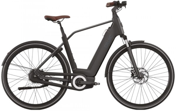 QWIC Premium Q MN8 2022 City e-Bike