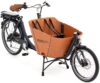 eT22 008402 01 de Babboe Mini-E 2022