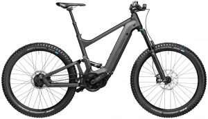 Riese & Müller Delite mountain rohloff 2022 e-Mountainbike