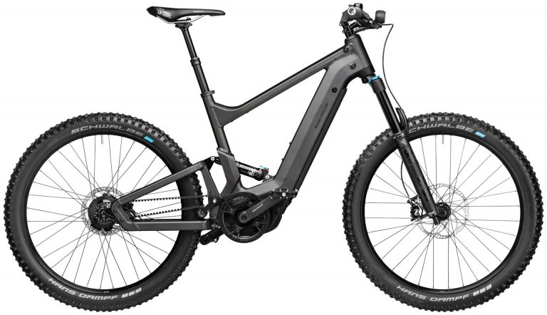 Riese & Müller Delite mountain rohloff 2022