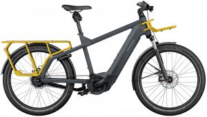 Riese & Müller Multicharger GT vario 750 2022 Lasten e-Bike,Trekking e-Bike,e-Bike XXL