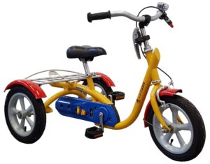 Van Raam Husky 2023 Dreirad für Erwachsene