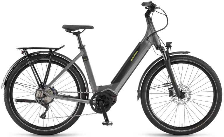 Winora Sinus iX10 2022