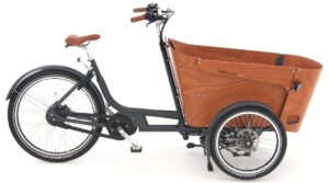 Babboe Carve Mountain 2023 Lasten e-Bike