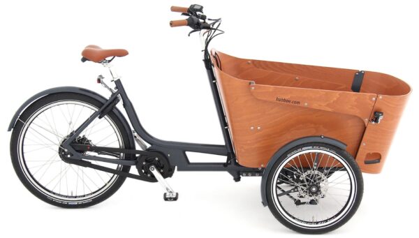 Babboe Flow Mountain 2023 Lasten e-Bike