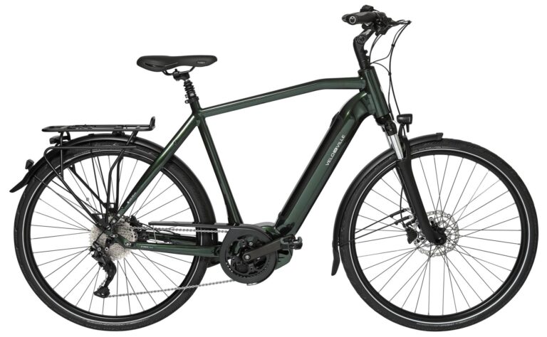 Velo de Ville AEB 990 Smart Rohloff 2023