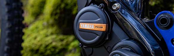 Yamaha PW-XM
